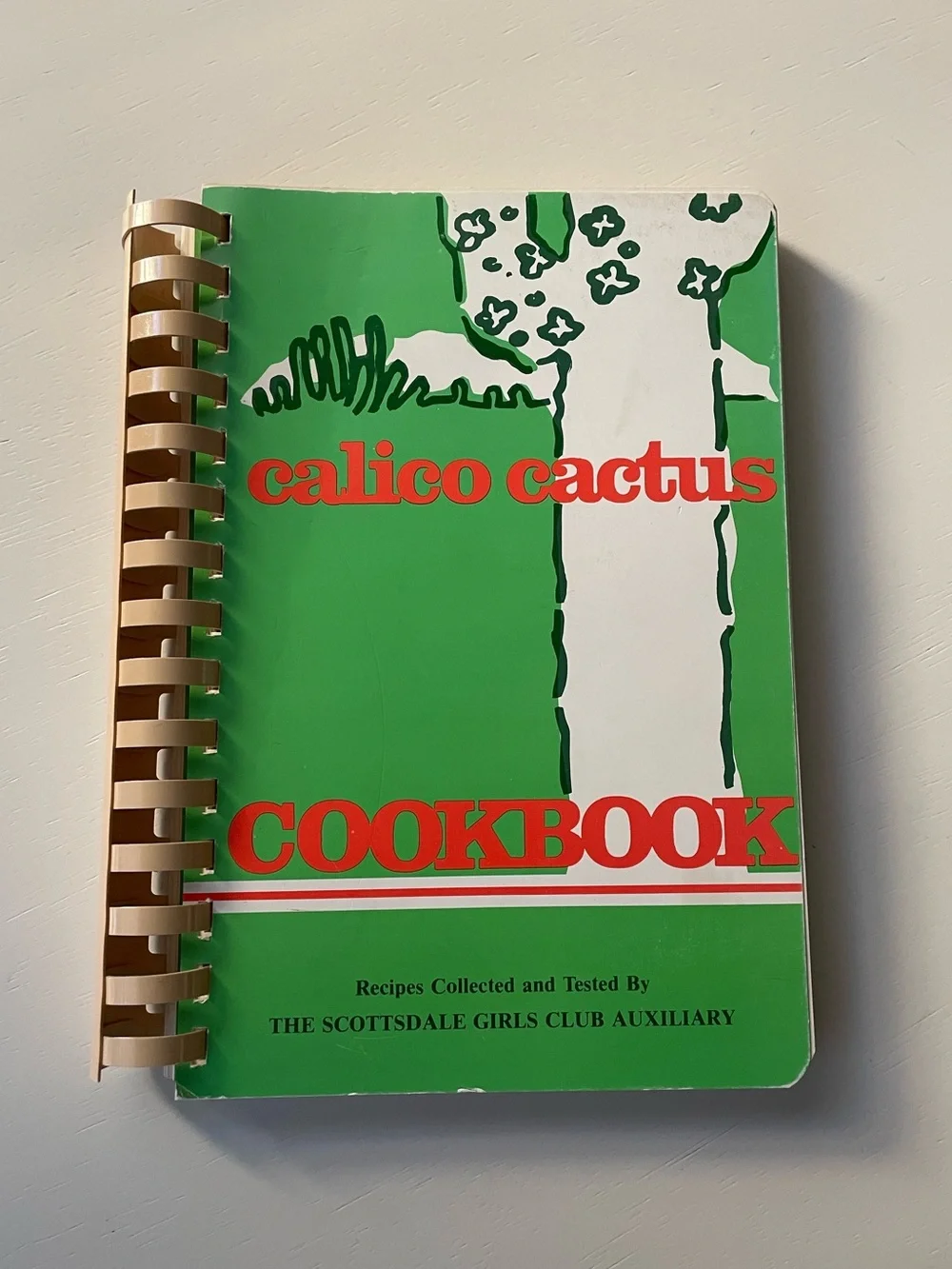 Vintage 1987 Calico Cactus cookbook Scottsdale Girls Club Arizona recipes